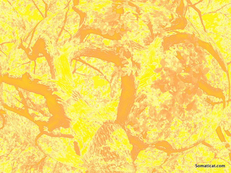 Integral Anatomy Workshop: Day&nbsp;5