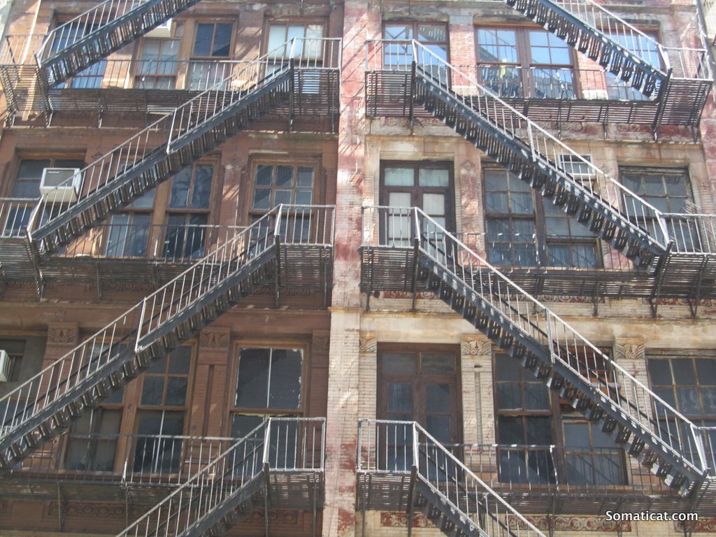 A Fridge in the&nbsp;Backyard
