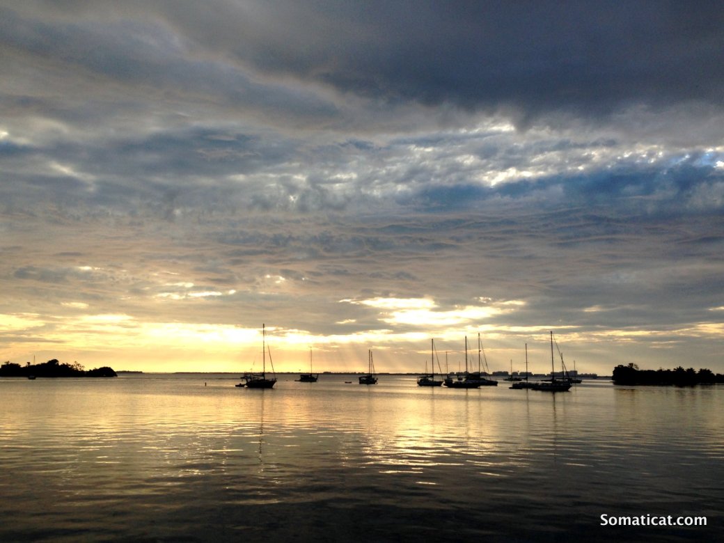 Hands of Kuan&nbsp;Yin
