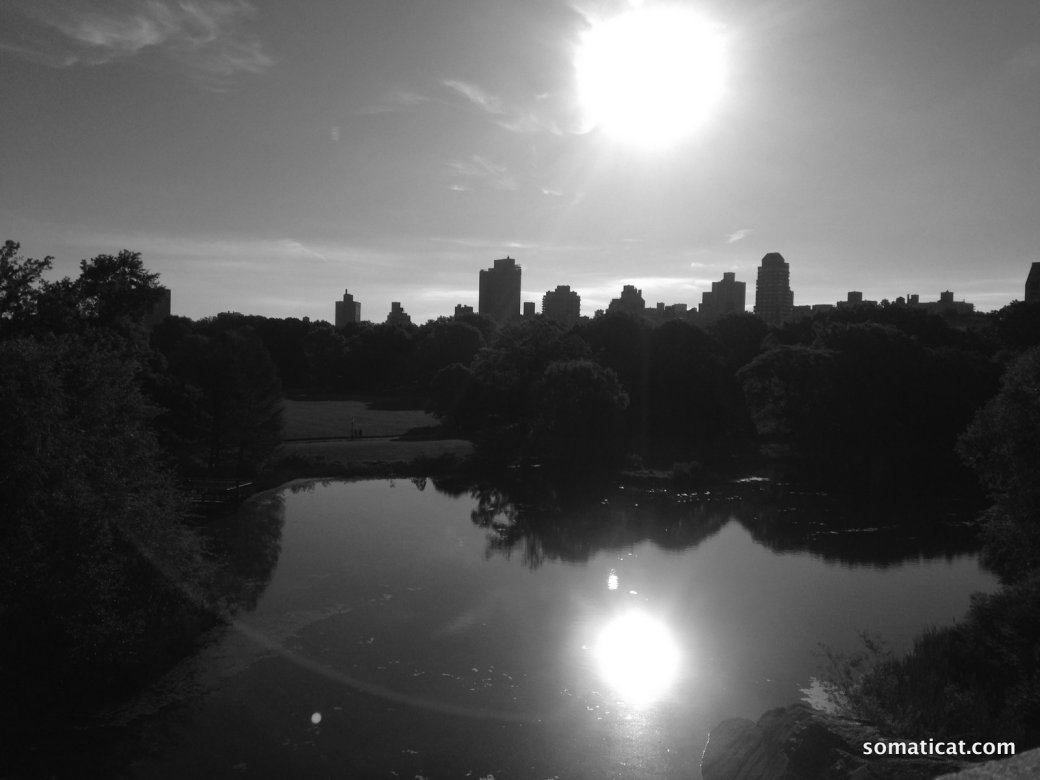 Why do you want to&nbsp;feel?