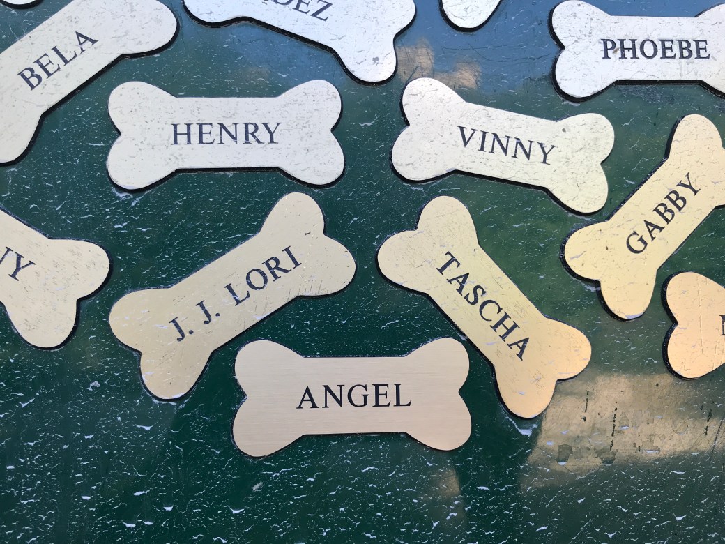 The Last Wagon&nbsp;Ride