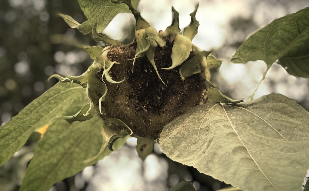 It was not Love but not to Feel&nbsp;Guilty