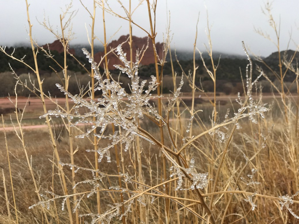 Everybody wants to have a Jedi&nbsp;Power