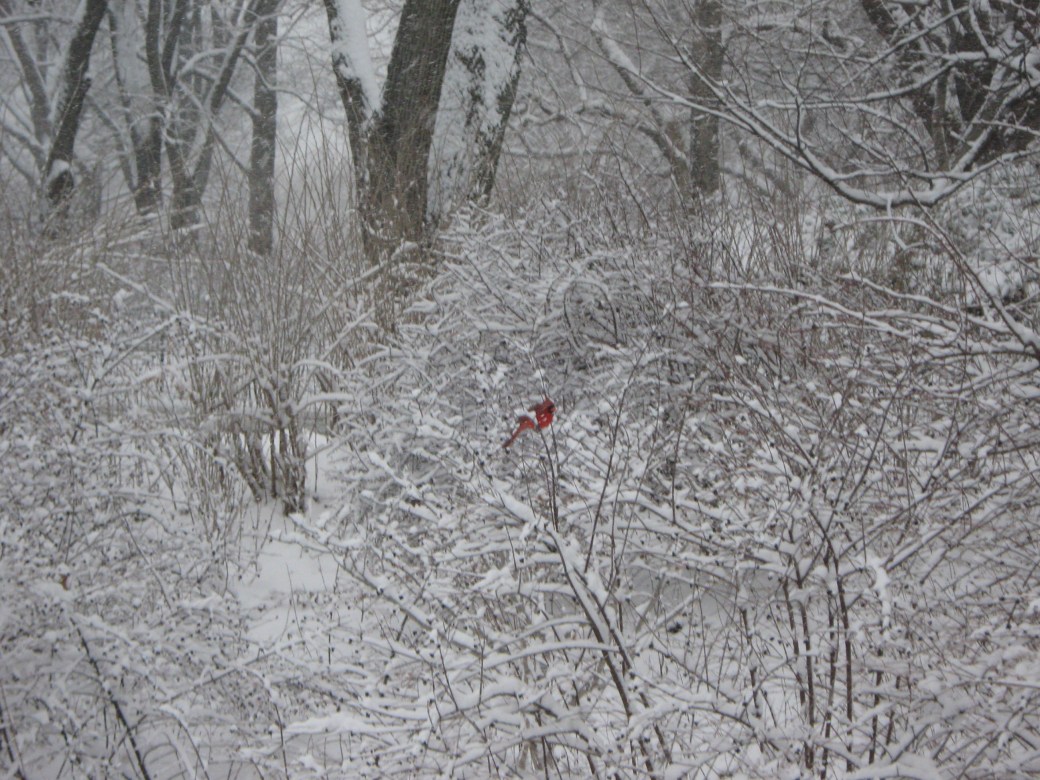 Writing Your Own Birth&nbsp;Story