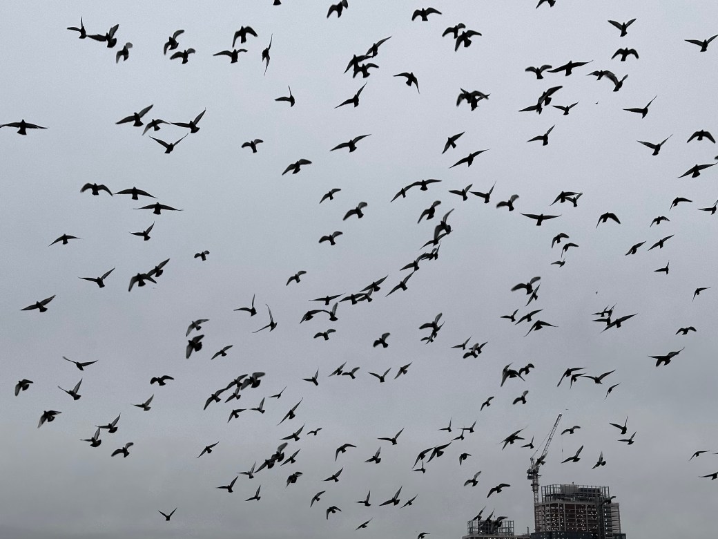 Ding Dong, the Witch is&nbsp;Dead