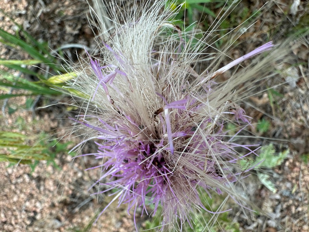 The story you tell about them might not be their real&nbsp;story