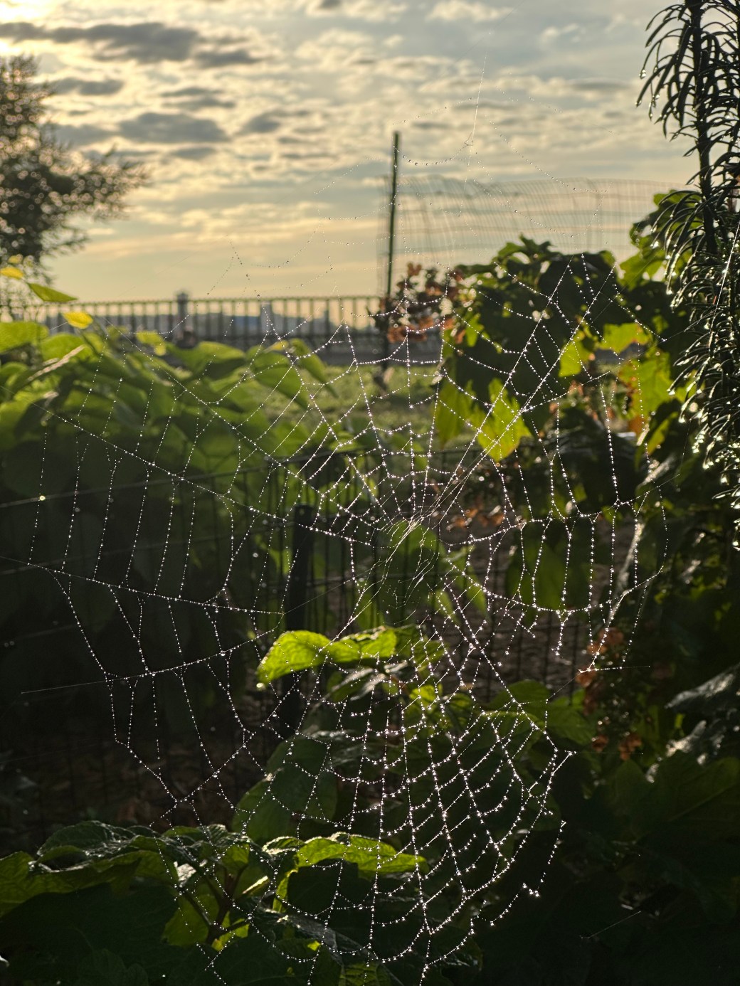 The Wayfarer: The Empty&nbsp;Chair